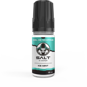 Ice Mint (Sel nicotine)- L'SPACE VAPE