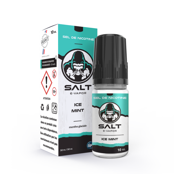 Ice Mint (Sel nicotine) – Image 2