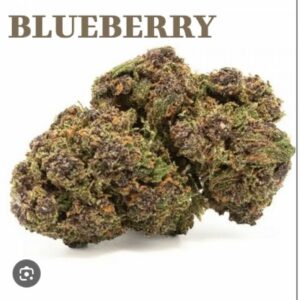 FLEUR CBD BLUEBERRY 10G
