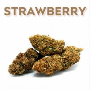 FLEUR CBD STRAWBERRY 10G