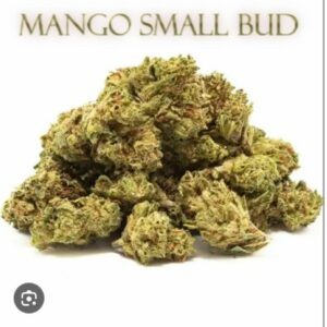 FLEUR CBD MANGO SMALL BUD 10G