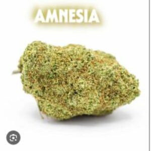 FLEUR CBD AMNÃ‰SIA 16,7G