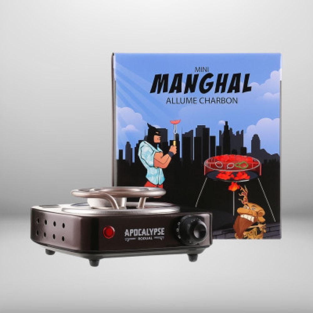 ALLUME CHARBON MINI MANGHAL 500W