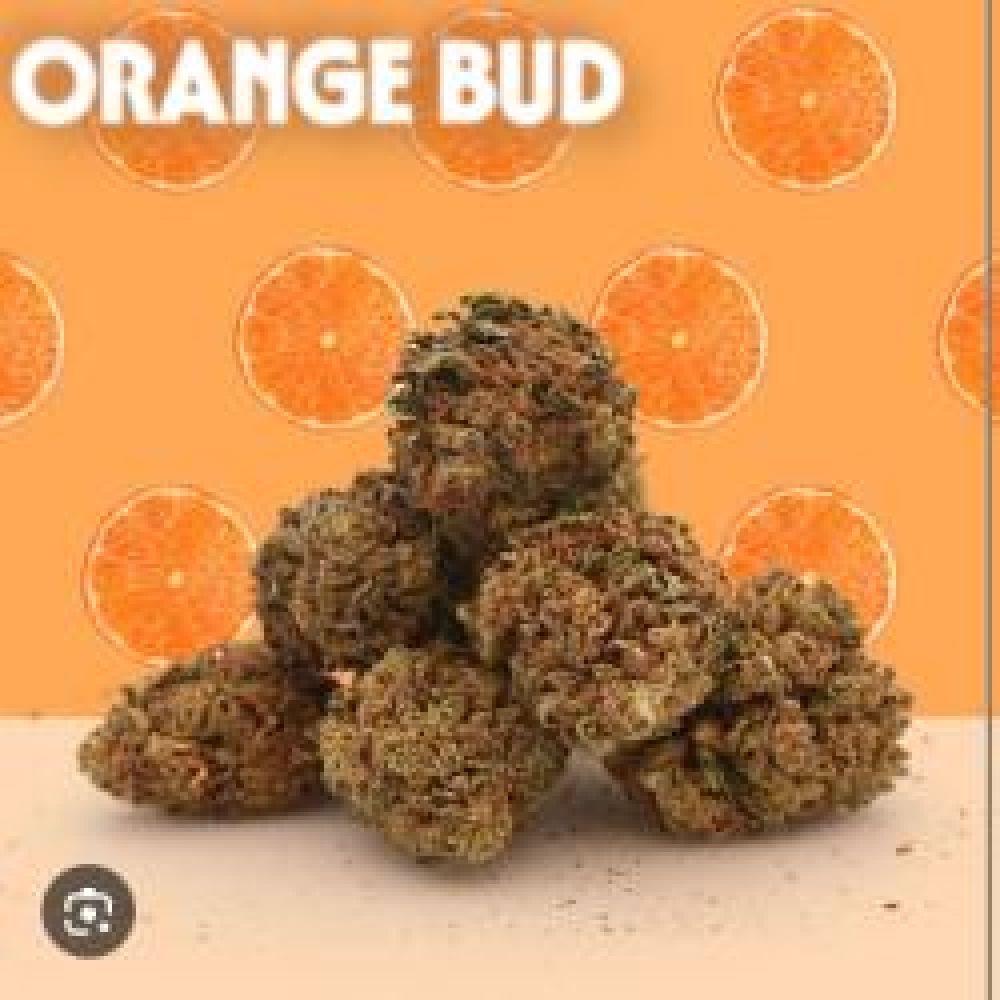 FLEUR CBD ORANGE BUD  6,5G
