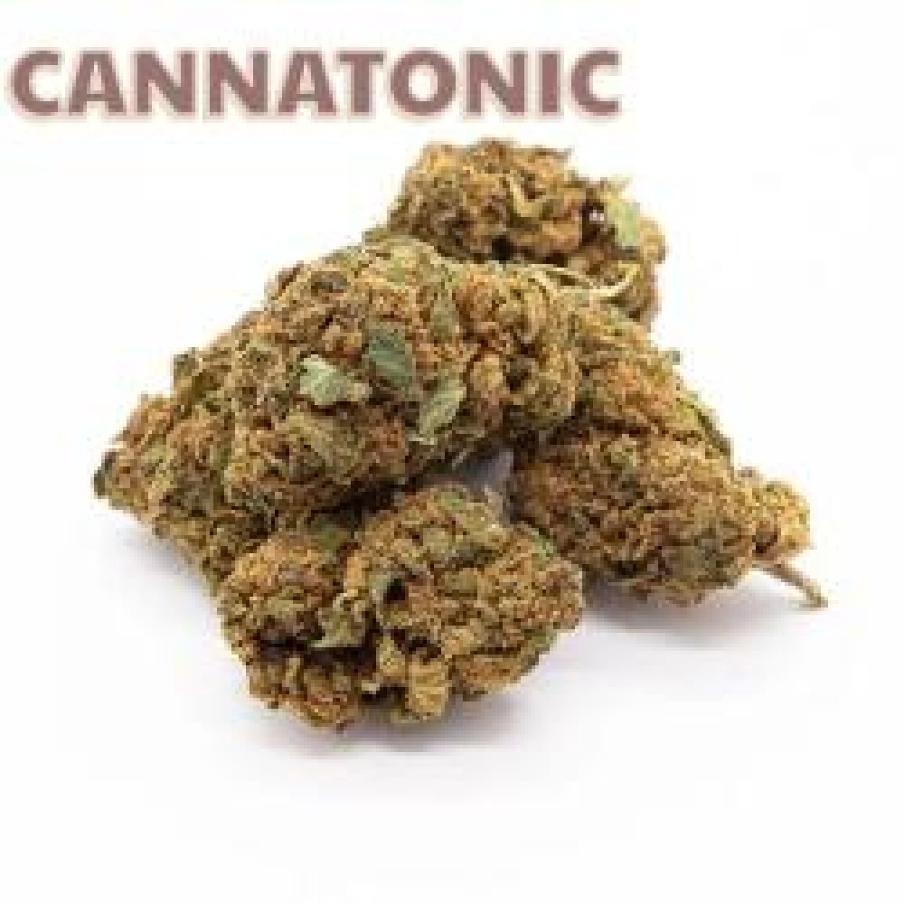 FLEUR CBD CANNATONIC 22G