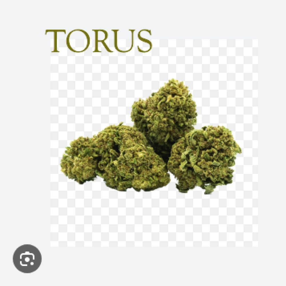 FLEUR CBD  TORUS 1G