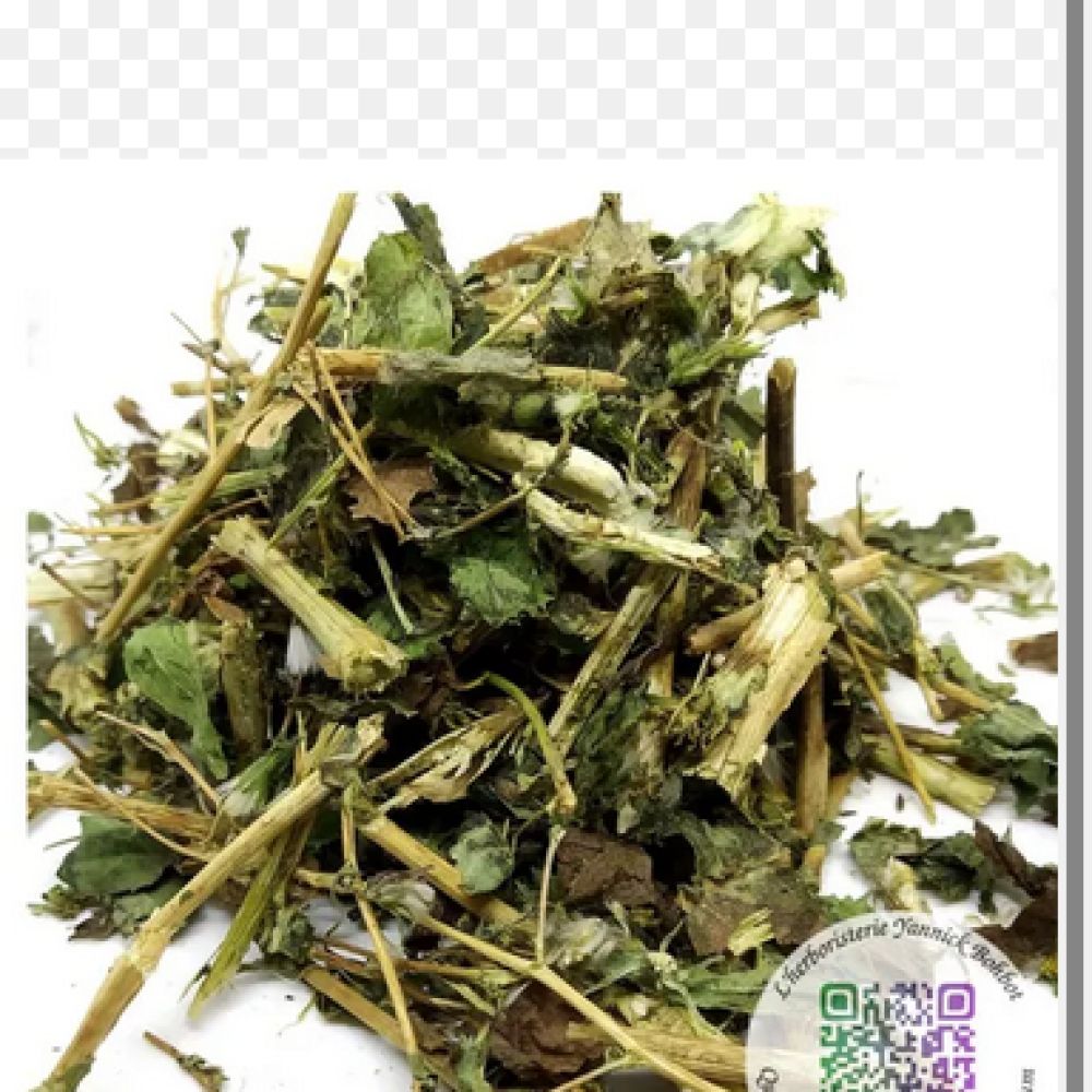 PLANTES SECHES Laitue Vireuse - 30g