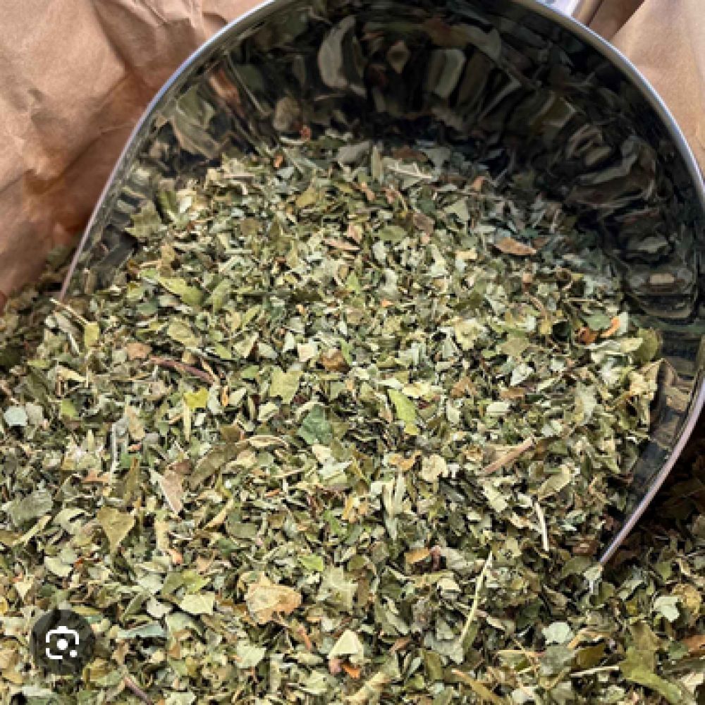 PLANTES SECHES Noisetier en feuilles Bio 30g - Feuilles en vrac