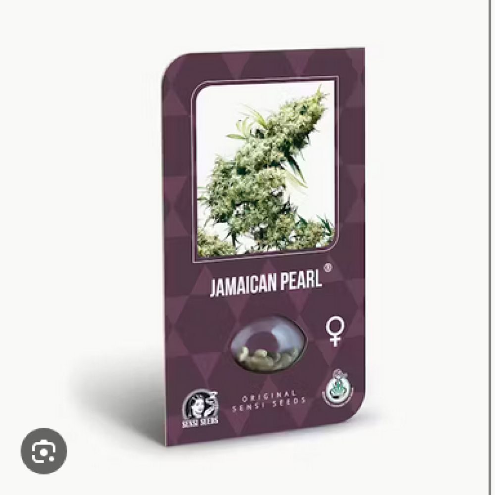 SEED Jamaican PearlÂ® -10- outdoor