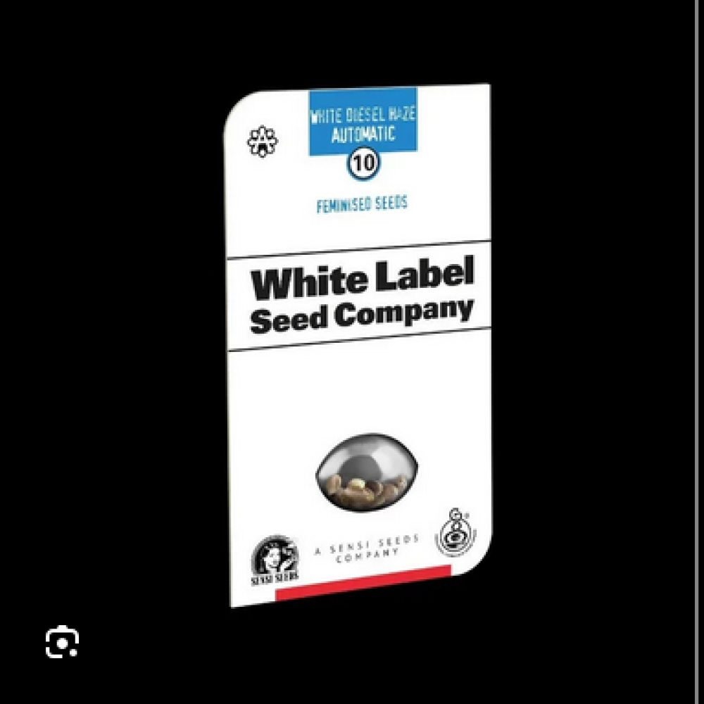 SEED White Diesel Haze Automatic - 3 Fem WL