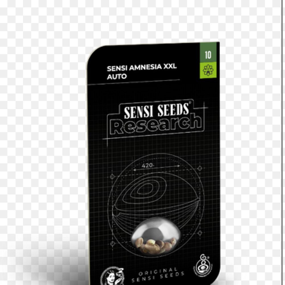 SEED Sensi Amnesia XXL Auto -3 seeds SSR