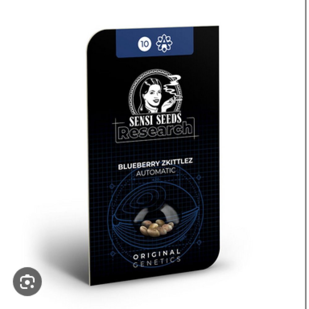 SEED Blue Berry Skittlez Auto-3 seeds SSR