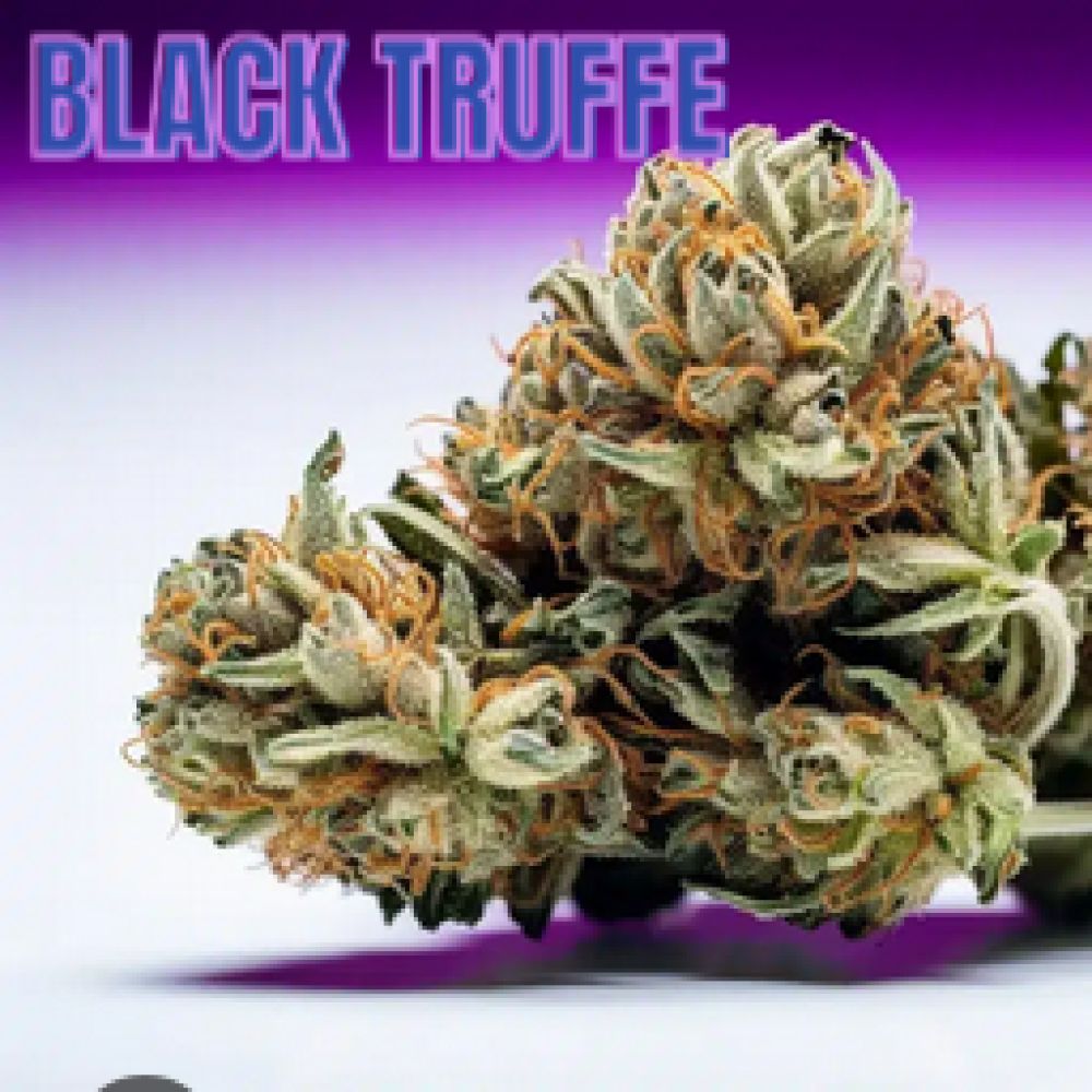 FLEUR CBD BLACK TRUFFE 1G