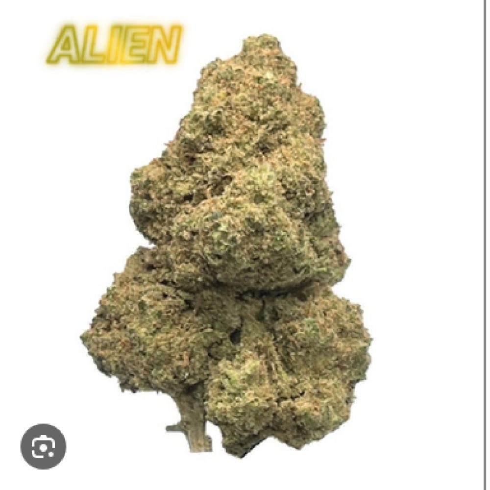 FLEUR CBD 10-OH ALIEN  1,5G