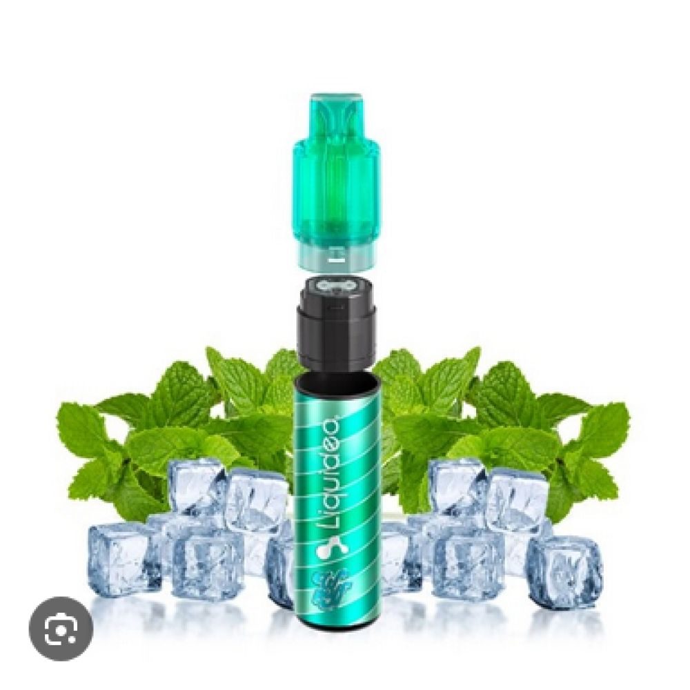 WPuff POD SYSTEM FUSION- Menthe