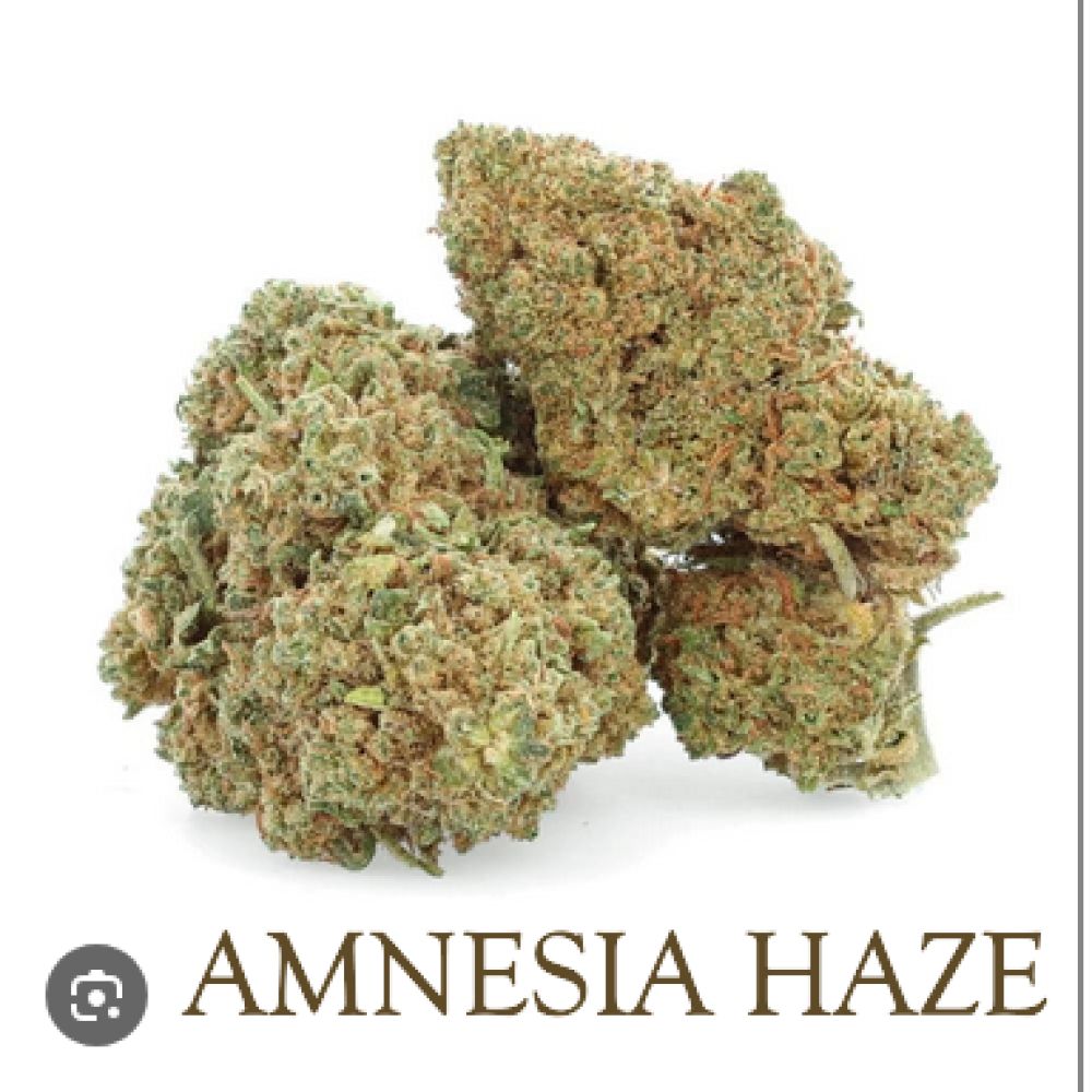 FLEUR CBD AMNÃ‰SIA HAZE 12G