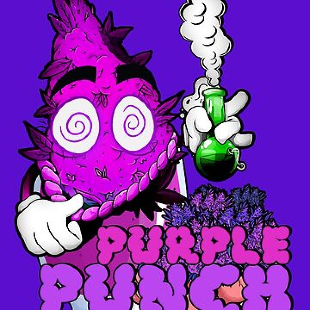 FLEUR CBD PURPLE PUNCH 1G