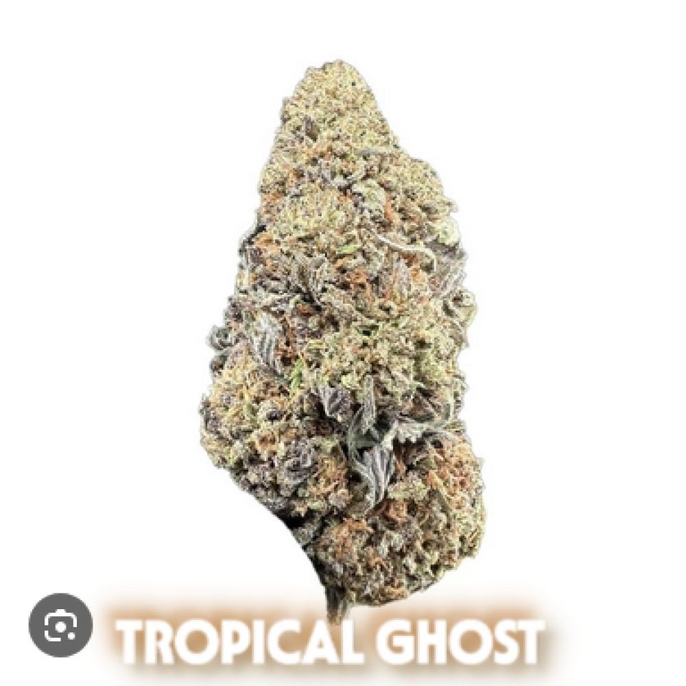 FLEUR CBD TROPICAL GHOST - 16,7G