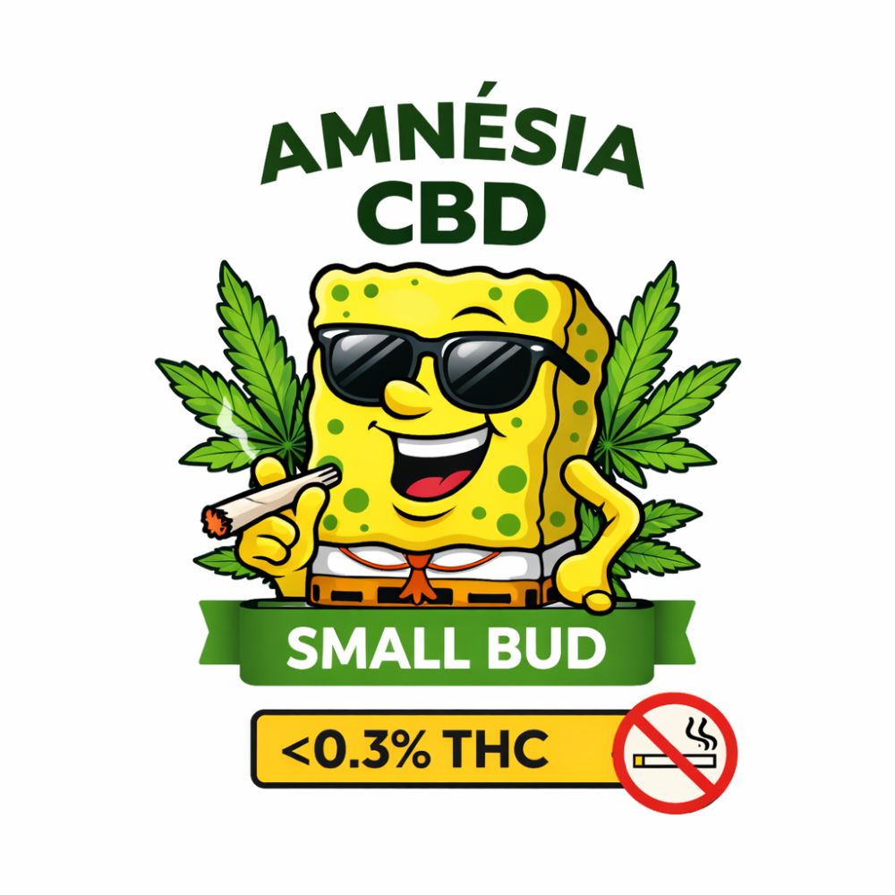 FLEUR CBD Amnesia SMALL BUD 10G