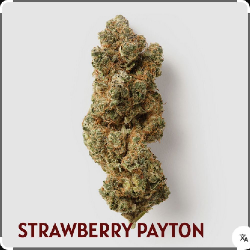 FLEUR CBD Strawberry Payton 1.25G