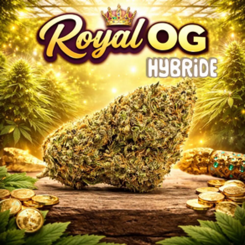 FLEUR CBD ROYAL OG HYBRIDE 1G