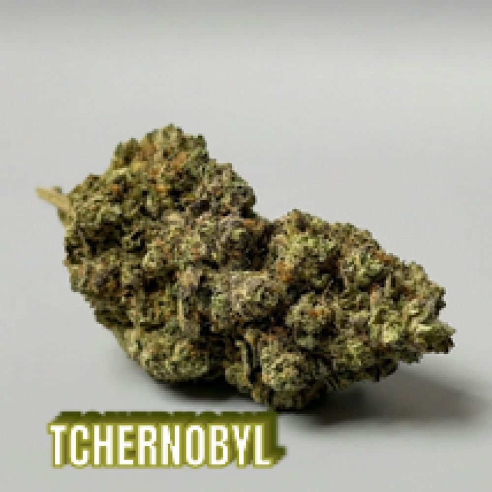 FLEUR CBD Tchernobyl 1G