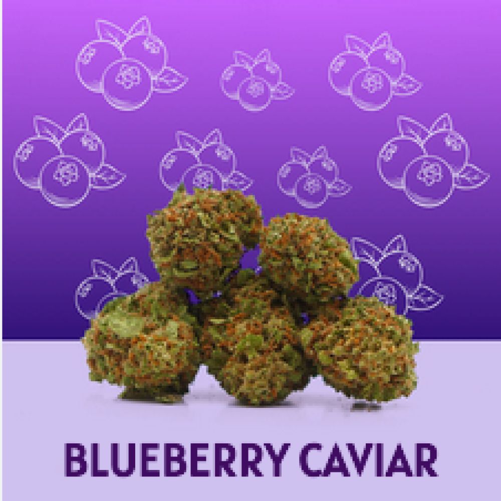 FLEUR CBD Bluebery Caviar 5G