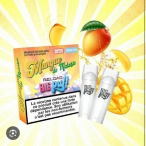Pods Big Puff Reload Mangue de Malaisie 10mg, Pack de 2